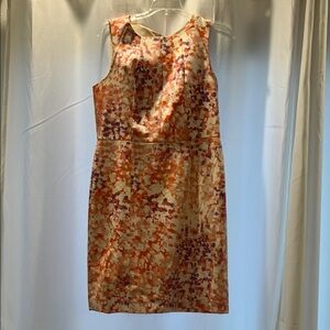 Ann Taylor Floral Sleeveless Dress - Multicolor